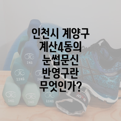 인천시 계양구 계산4동의 눈썹문신 반영구란 무엇인가?