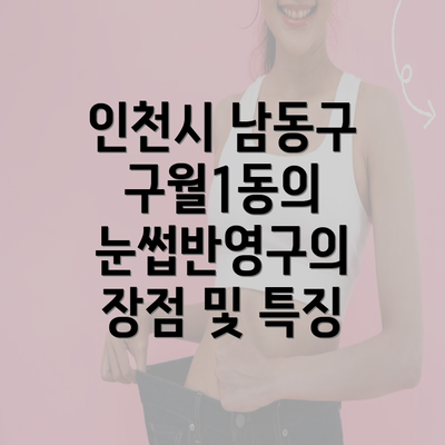 인천시 남동구 구월1동의 눈썹반영구의 장점 및 특징