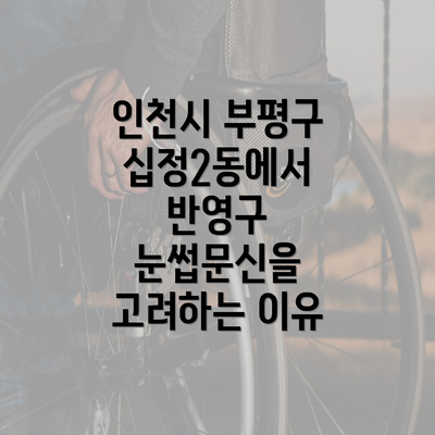 인천시 부평구 십정2동에서 반영구 눈썹문신을 고려하는 이유