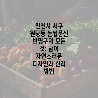 인천시 서구 원당동 눈썹문신 반영구의 모든 것: 남여 자연스러운 디자인과 관리 방법