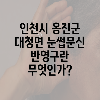 인천시 옹진군 대청면 눈썹문신 반영구란 무엇인가?