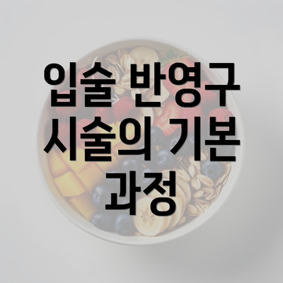 입술 반영구 시술의 기본 과정