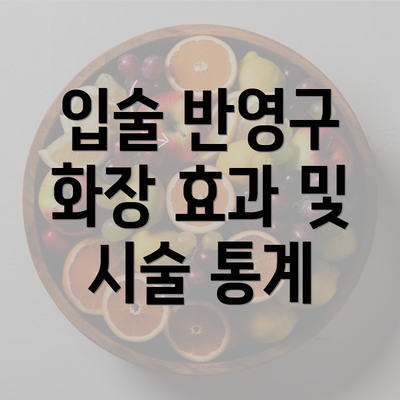 입술 반영구 화장 효과 및 시술 통계