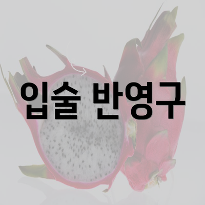 입술 반영구