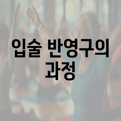 입술 반영구의 과정