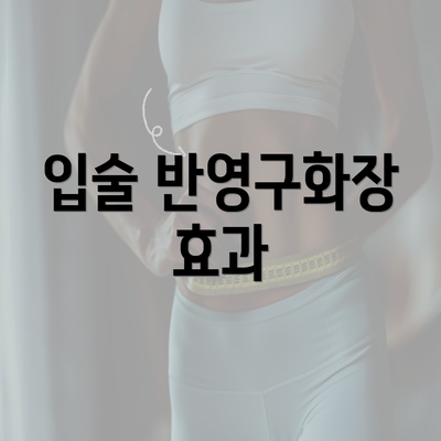 입술 반영구화장 효과