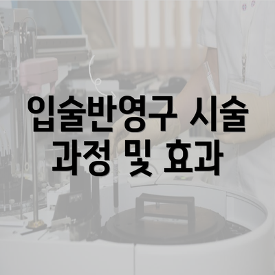 입술반영구 시술 과정 및 효과