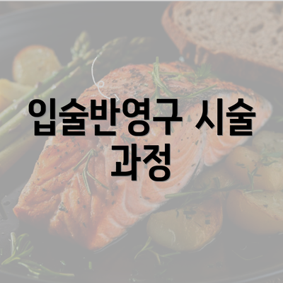 입술반영구 시술 과정