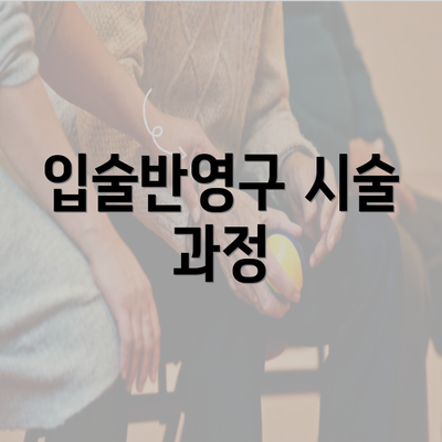 입술반영구 시술 과정