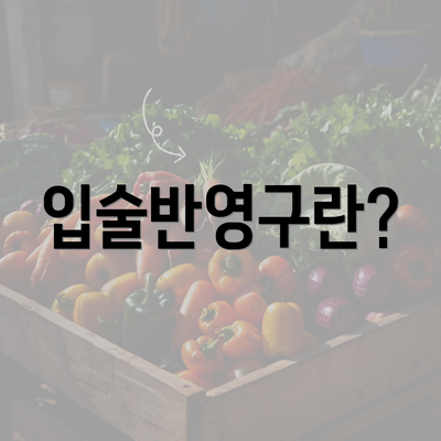 입술반영구란?