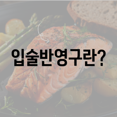 입술반영구란?