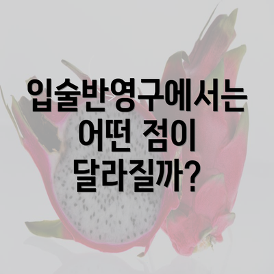 입술반영구에서는 어떤 점이 달라질까?