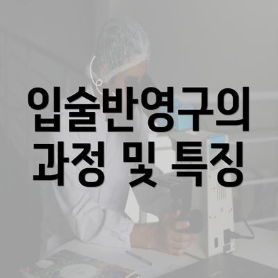 입술반영구의 과정 및 특징