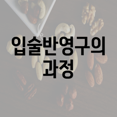 입술반영구의 과정