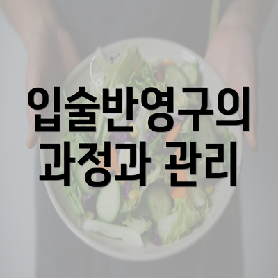 입술반영구의 과정과 관리