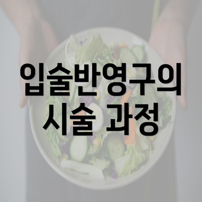 입술반영구의 시술 과정