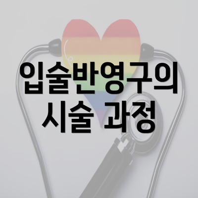 입술반영구의 시술 과정