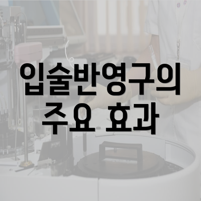 입술반영구의 주요 효과