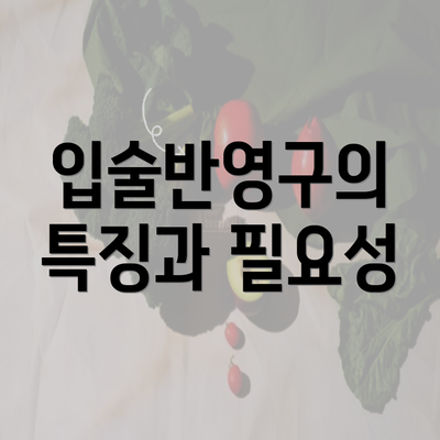 입술반영구의 특징과 필요성