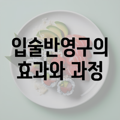 입술반영구의 효과와 과정