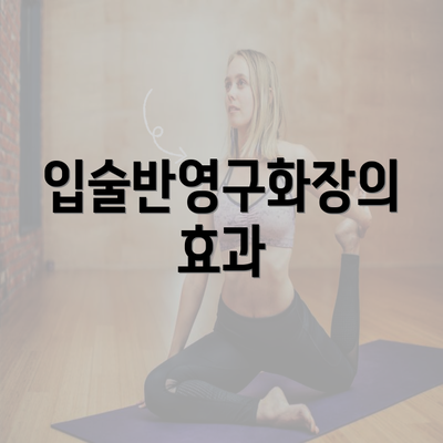 입술반영구화장의 효과