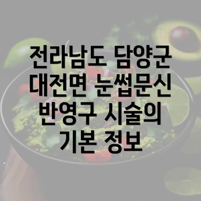 전라남도 담양군 대전면 눈썹문신 반영구 시술의 기본 정보