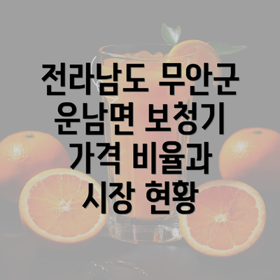 전라남도 무안군 운남면 보청기 가격 비율과 시장 현황