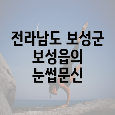 전라남도 보성군 보성읍의 눈썹문신