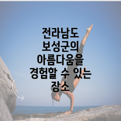 전라남도 보성군의 아름다움을 경험할 수 있는 장소