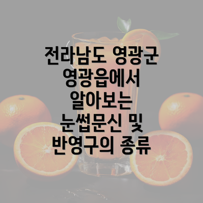 전라남도 영광군 영광읍에서 알아보는 눈썹문신 및 반영구의 종류