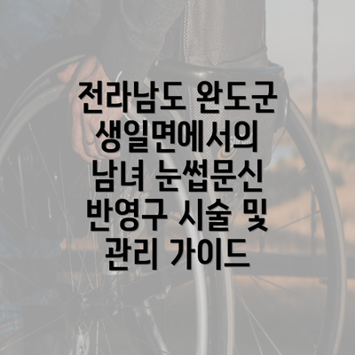 전라남도 완도군 생일면에서의 남녀 눈썹문신 반영구 시술 및 관리 가이드