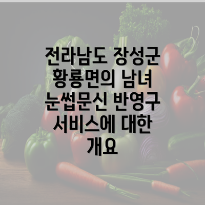 전라남도 장성군 황룡면의 남녀 눈썹문신 반영구 서비스에 대한 개요