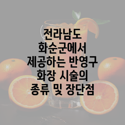 전라남도 화순군에서 제공하는 반영구 화장 시술의 종류 및 장단점