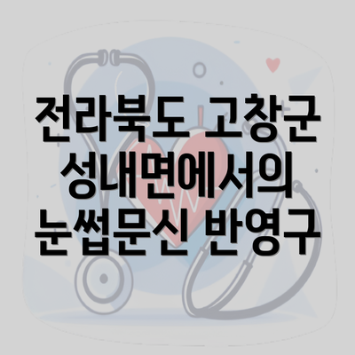 전라북도 고창군 성내면에서의 눈썹문신 반영구