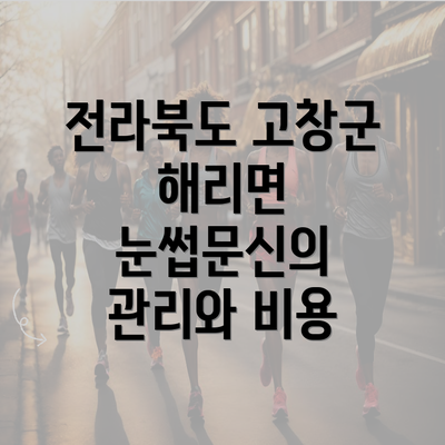 전라북도 고창군 해리면 눈썹문신의 관리와 비용