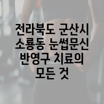 전라북도 군산시 소룡동 눈썹문신 반영구 치료의 모든 것