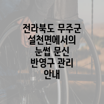 전라북도 무주군 설천면에서의 눈썹 문신 반영구 관리 안내