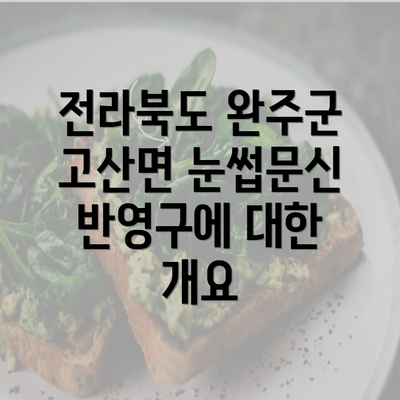 전라북도 완주군 고산면 눈썹문신 반영구에 대한 개요