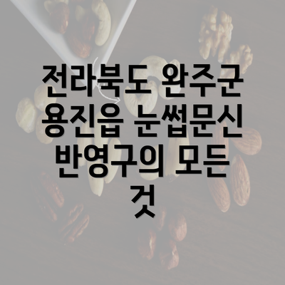 전라북도 완주군 용진읍 눈썹문신 반영구의 모든 것