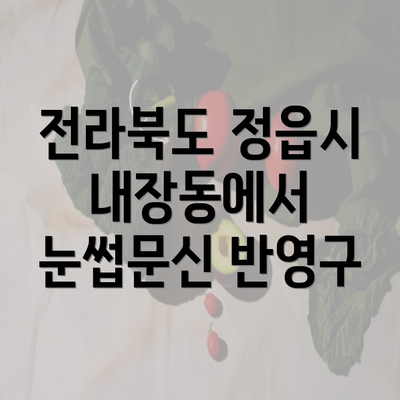 전라북도 정읍시 내장동에서 눈썹문신 반영구