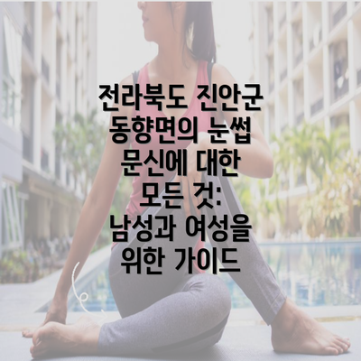 전라북도 진안군 동향면의 눈썹 문신에 대한 모든 것: 남성과 여성을 위한 가이드