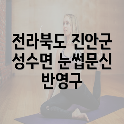 전라북도 진안군 성수면 눈썹문신 반영구