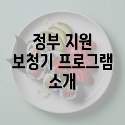 정부 지원 보청기 프로그램 소개