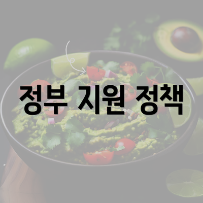 정부 지원 정책