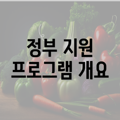 정부 지원 프로그램 개요