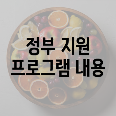 정부 지원 프로그램 내용