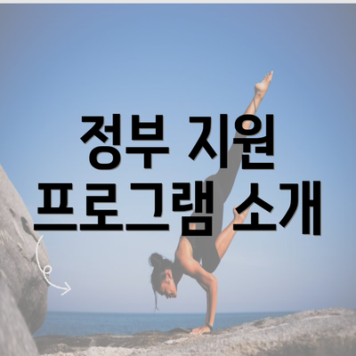 정부 지원 프로그램 소개