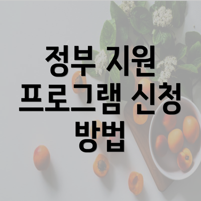 정부 지원 프로그램 신청 방법