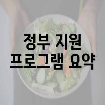 정부 지원 프로그램 요약