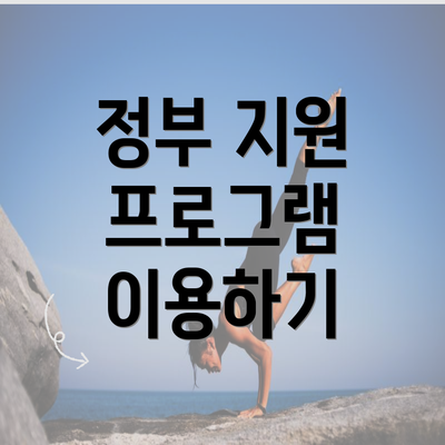 정부 지원 프로그램 이용하기